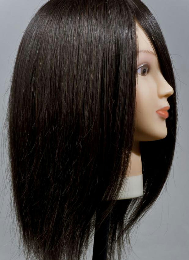 楽天市場】【送料無料】人毛100％カットウィッグ Anna ☆ 毛量たっぷり