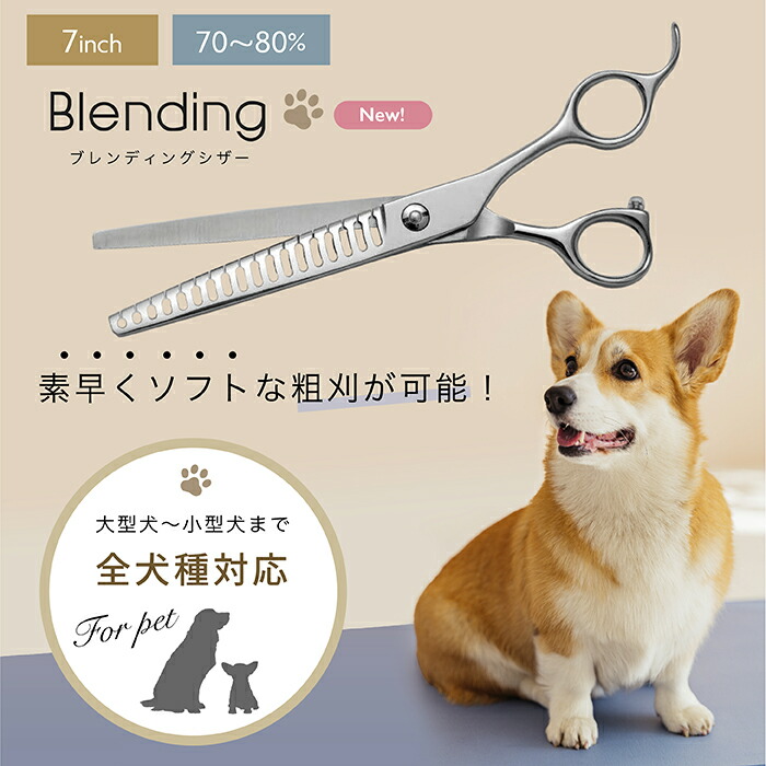 楽天市場】☆楽天スーパーSALE☆10％OFF☆【ペット トリミング