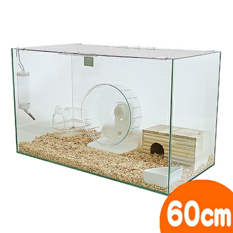 楽天市場】600ハムスターHIGH ゴールデンハムスター飼育セットII【A