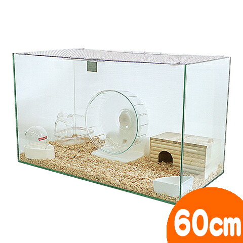 楽天市場】600ハムスターHIGH ゴールデンハムスター飼育セットII【B