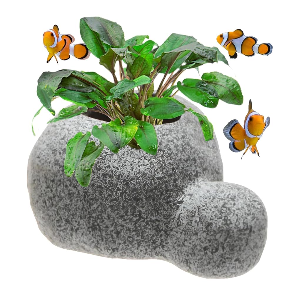 楽天市場】heizi 水槽 水草 鉢 ソイル 砂 付き 水槽ポット