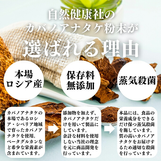 楽天市場】カバノアナタケ粉末 500g (250g×2袋) パウダー チャーガ