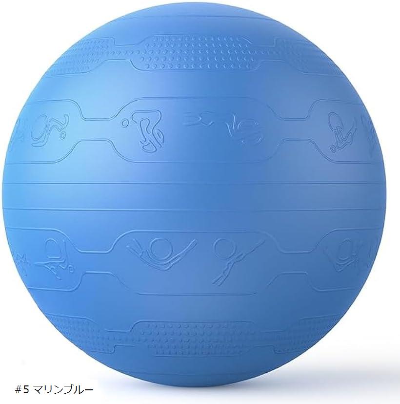 楽天市場】バランスボール 65cm ばらんすぼーる トレーニングガイド