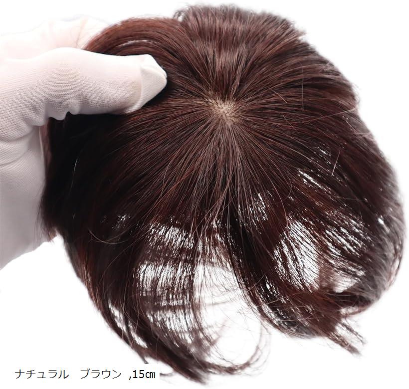 楽天市場】ヘアピース 部分ウィッグ 人毛 100% かつら 女性 ポイント