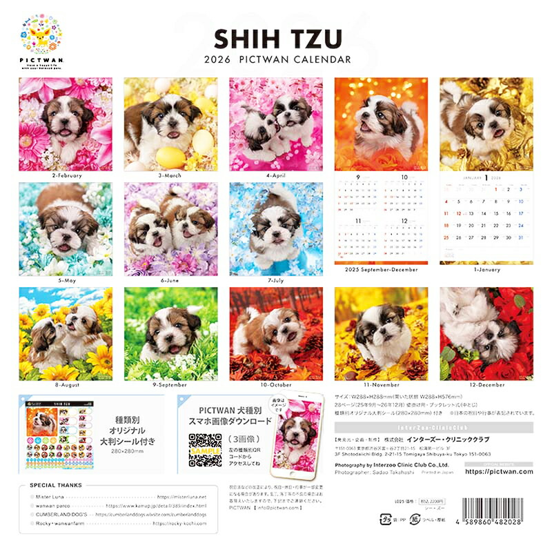 楽天市場】［公式］PICTWANカレンダー 2026年【L判】シー・ズー【送料