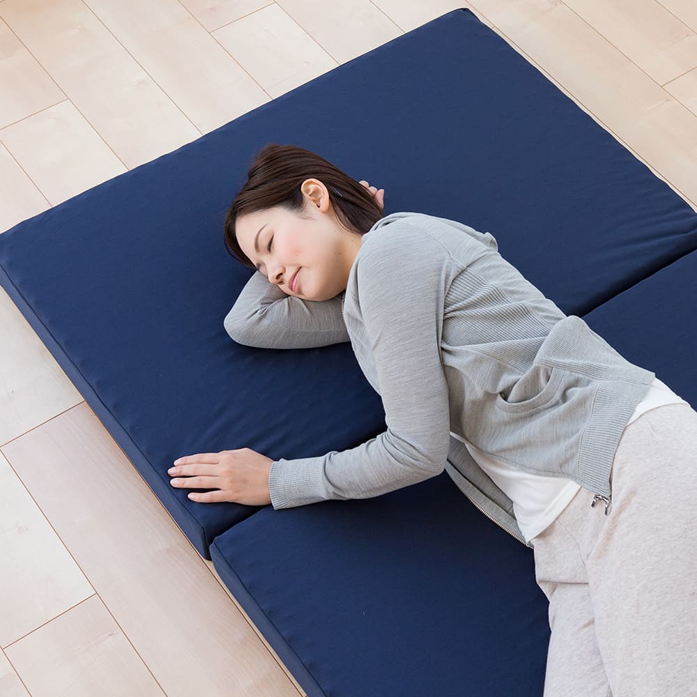 楽天市場】ニトリ 点で支える体圧分散敷ふとんの通販