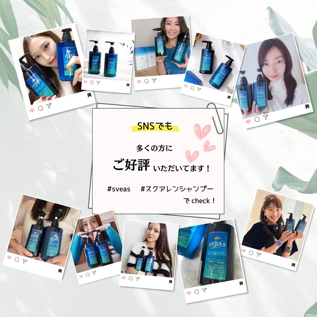 楽天市場】エスヴィアス 美容セット シャンプーセット ギフト