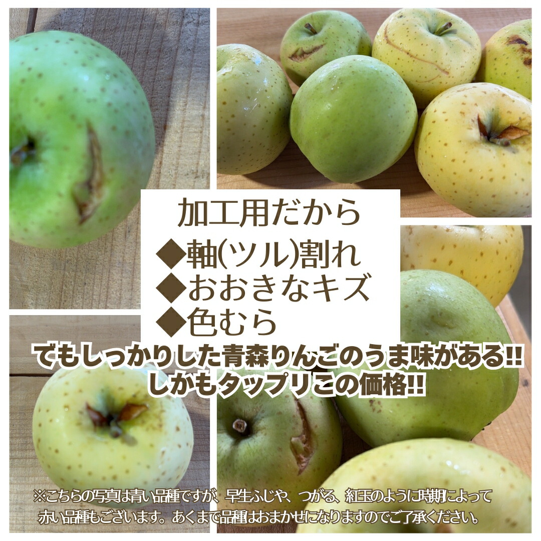 楽天市場】大特価！！ 青森県産 加工用 りんご 品種おまかせ 5kg 産地