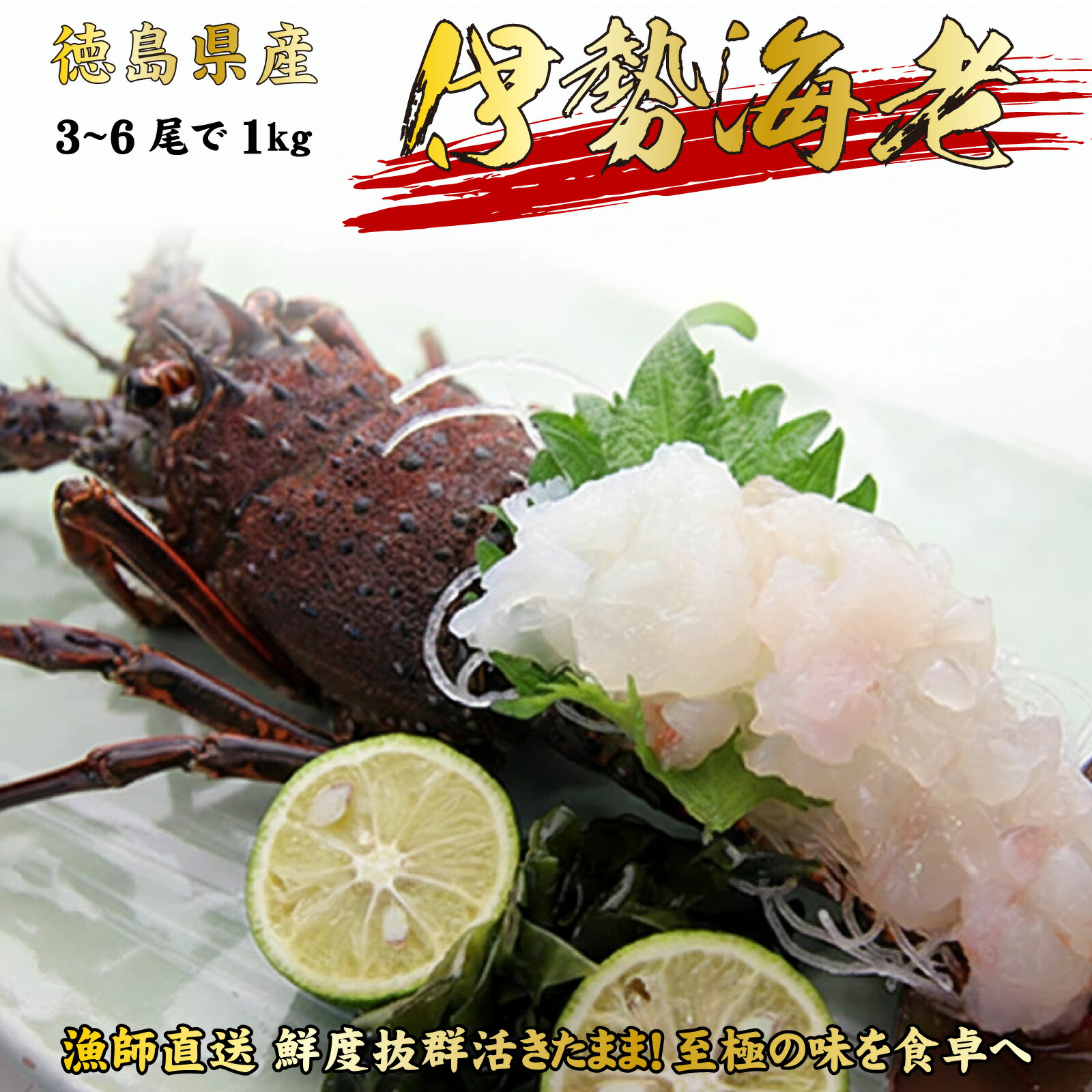 楽天市場】伊勢海老 お刺身（2～5尾で1kg分）生きたまま 水揚げ即日