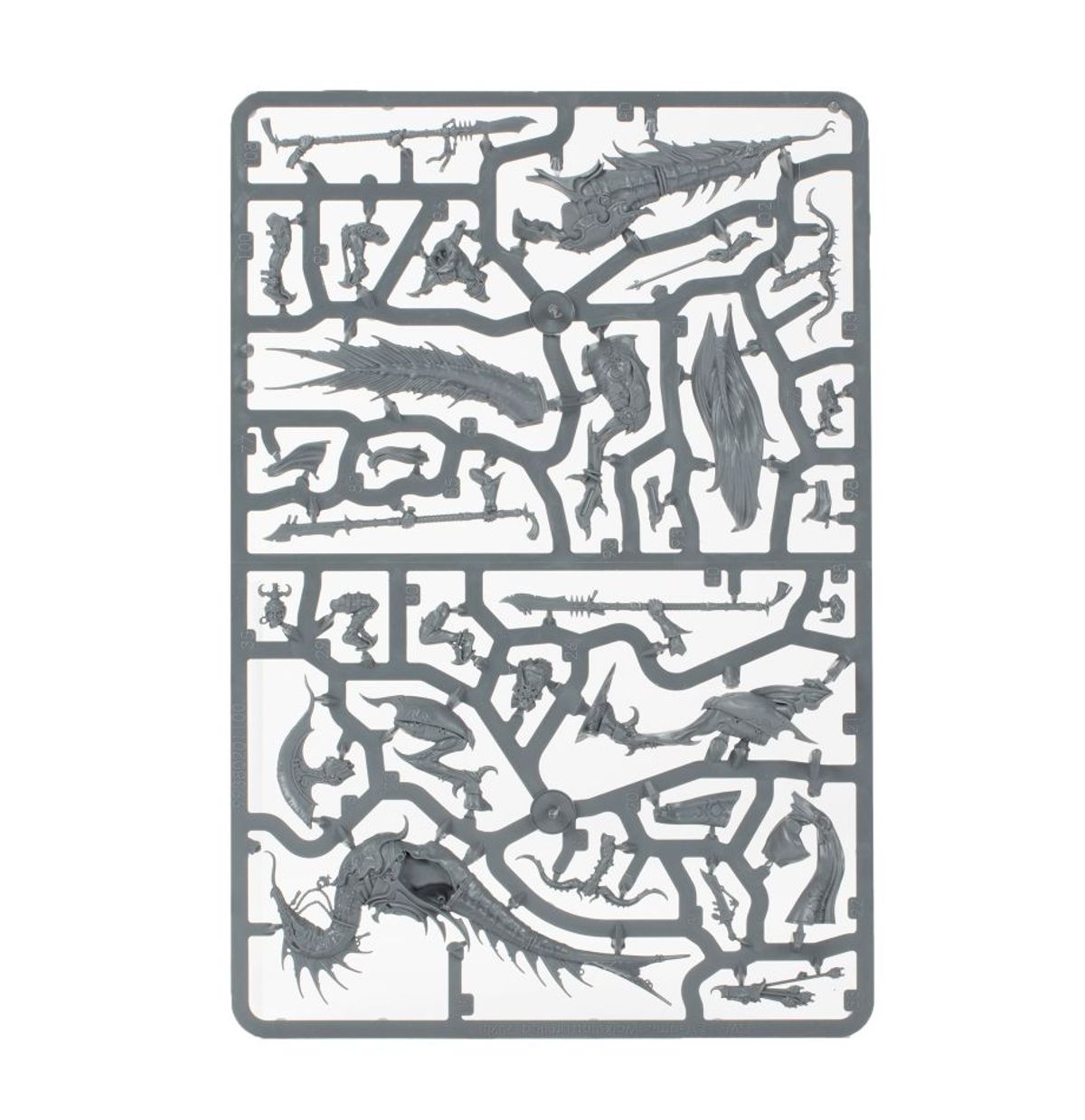 楽天市場】【追加最大+29倍 3/1限定】ウォーハンマー 70-834 エイジ