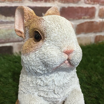 楽天市場】シャルカ 赤ちゃんうさぎ クミン 置物 動物 庭 オブジェ