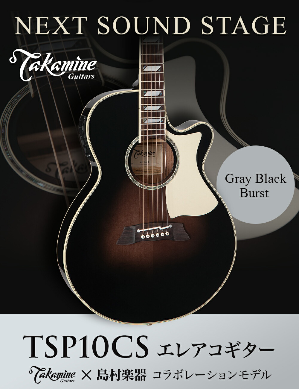 楽天市場】Takamine TSP10CS エレアコ アコースティックギター 630mm