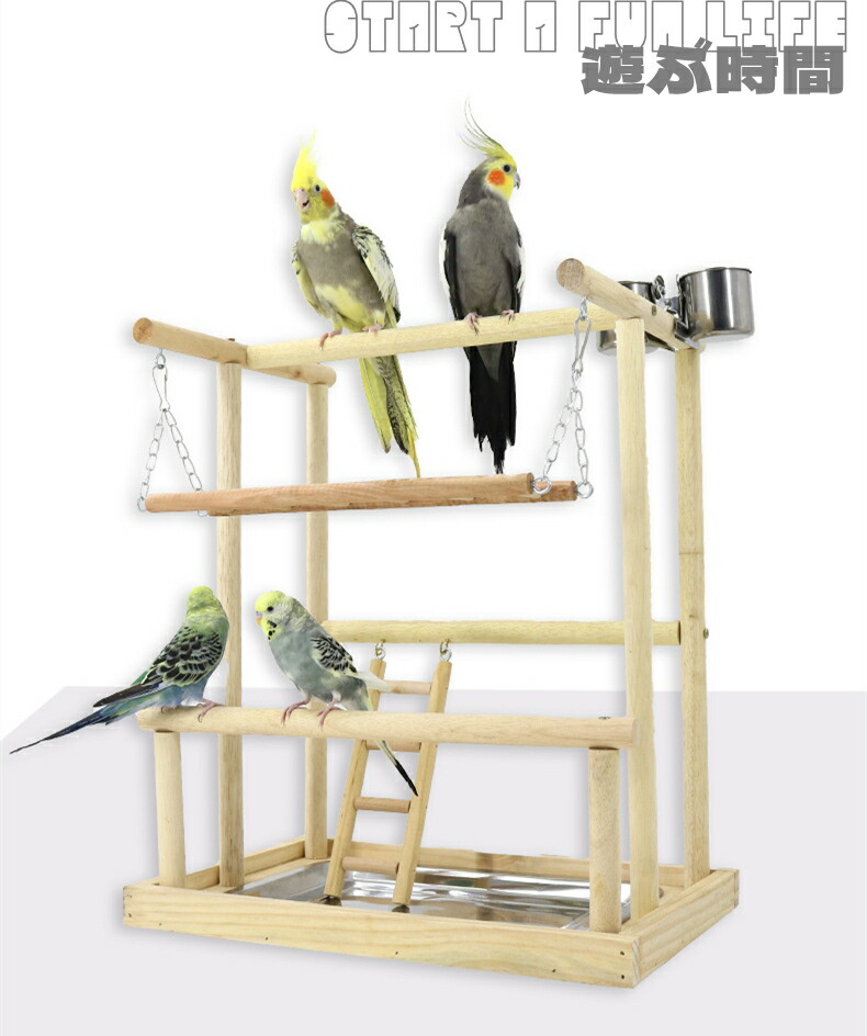 楽天市場】 インコ オウム 遊び場 二層 バード アスレチック 玩具