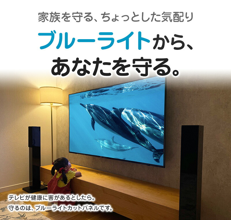 楽天市場】ブルーライトカット 有機ELテレビ保護パネル 55インチ 55型