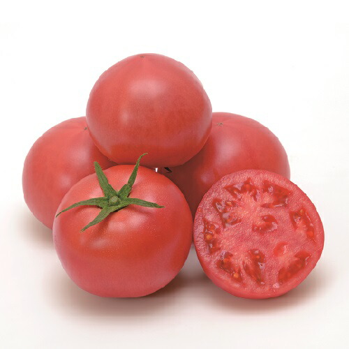 楽天市場】みかど協和 トマト はれぞら(MKS-T110) 100粒 : 種苗・園芸