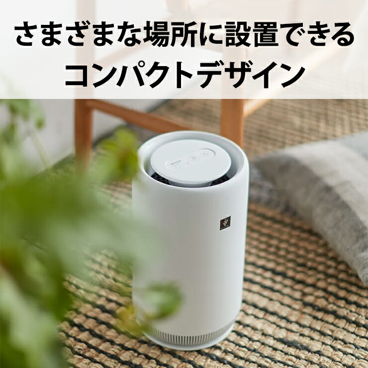 楽天市場】[3/1限定 抽選で最大100%ポイントバック＆最大2000円OFF