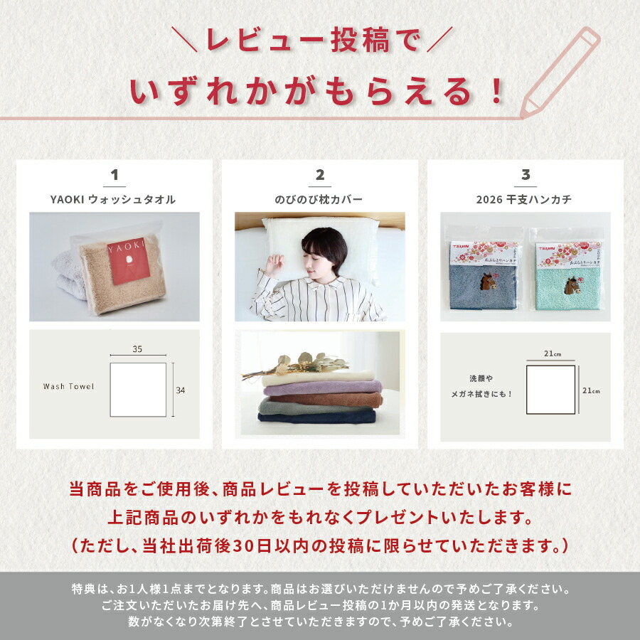 楽天市場】【 テイジン 公式】 ミクロガード 洗える 防ダニ 掛け布団