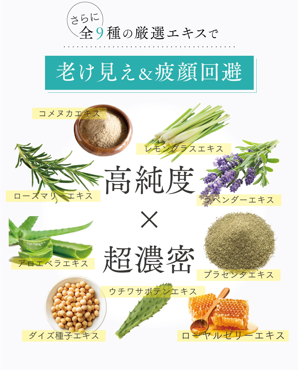 楽天市場】【公式】ウルシナ ulusina オールインワンジェル 1本11役