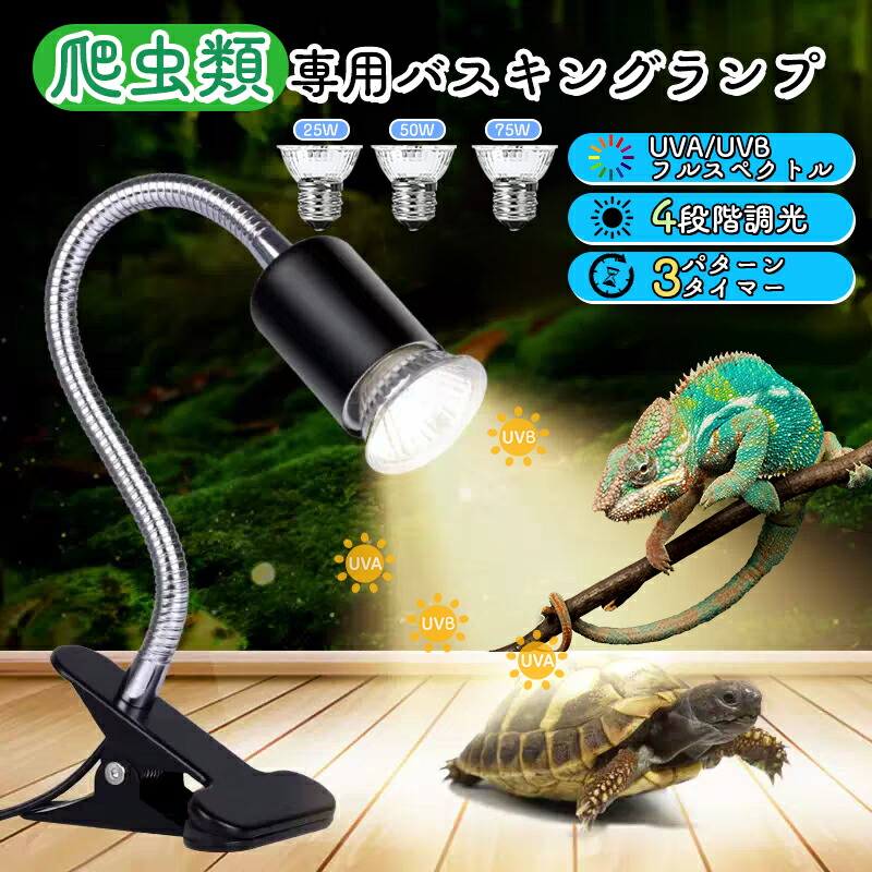 楽天市場】【1/2の確率当選最大100%ポイントバック】「生涯飼育に必要