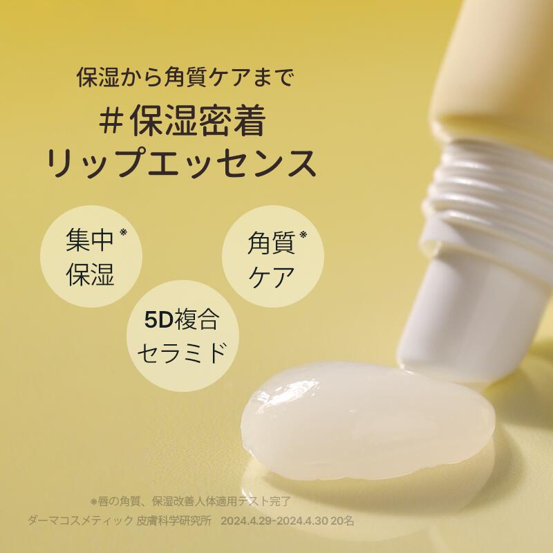 楽天市場】【日本公式販売店】 Torriden トリデン ソリッドイン