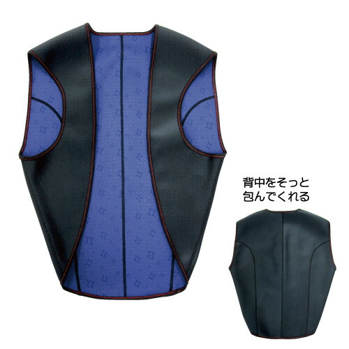 楽天市場】バイオラバーエアロドームプチベストの通販