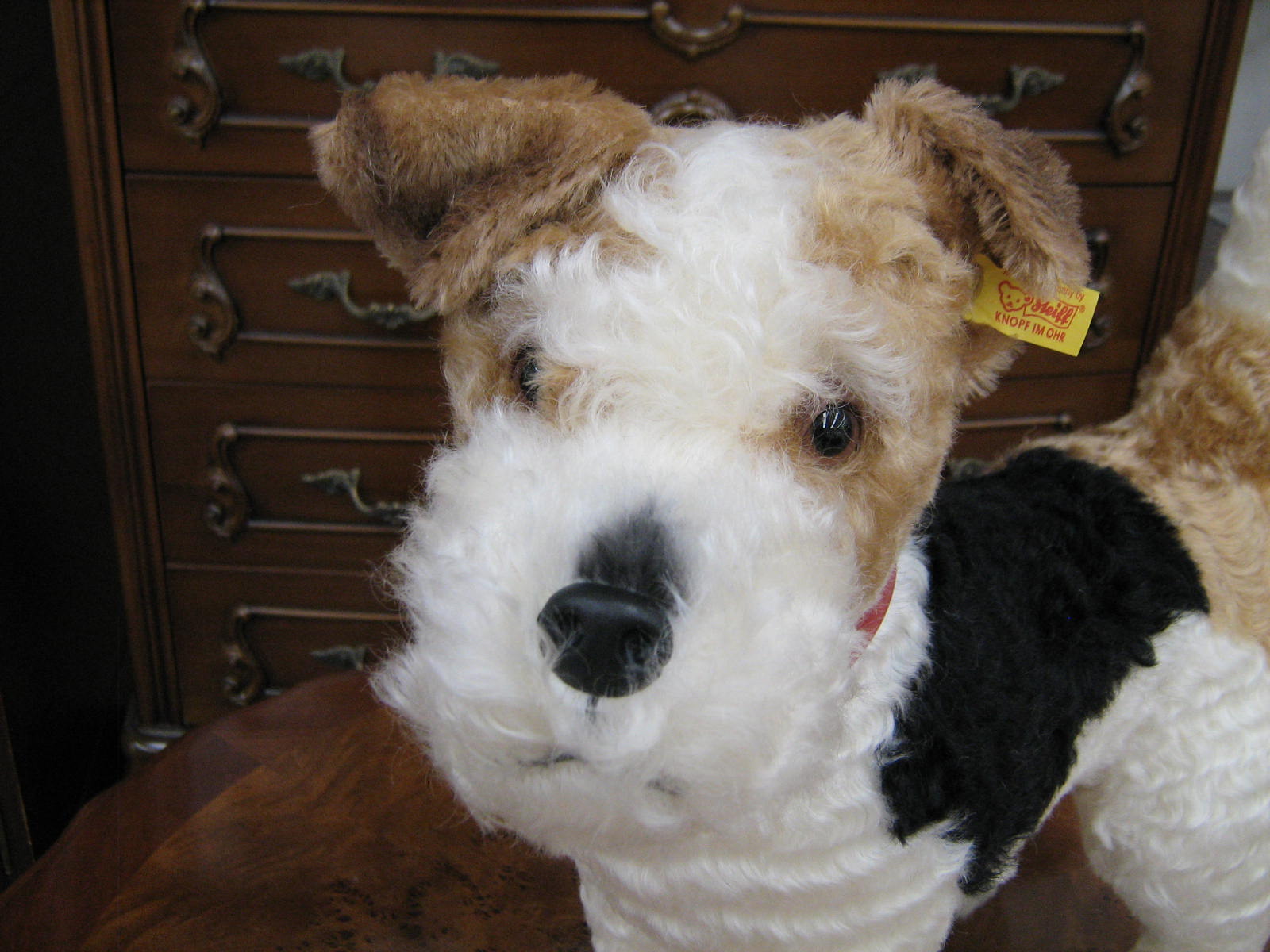 楽天市場】シュタイフ(Steiff)フォックステリアのフォクシーぬいぐるみ