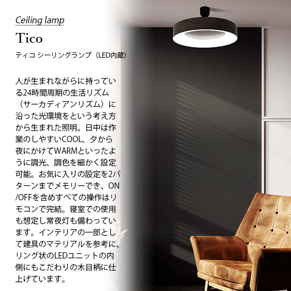 楽天市場】DI CLASSE ディクラッセ Tico ceiling lamp ティコ