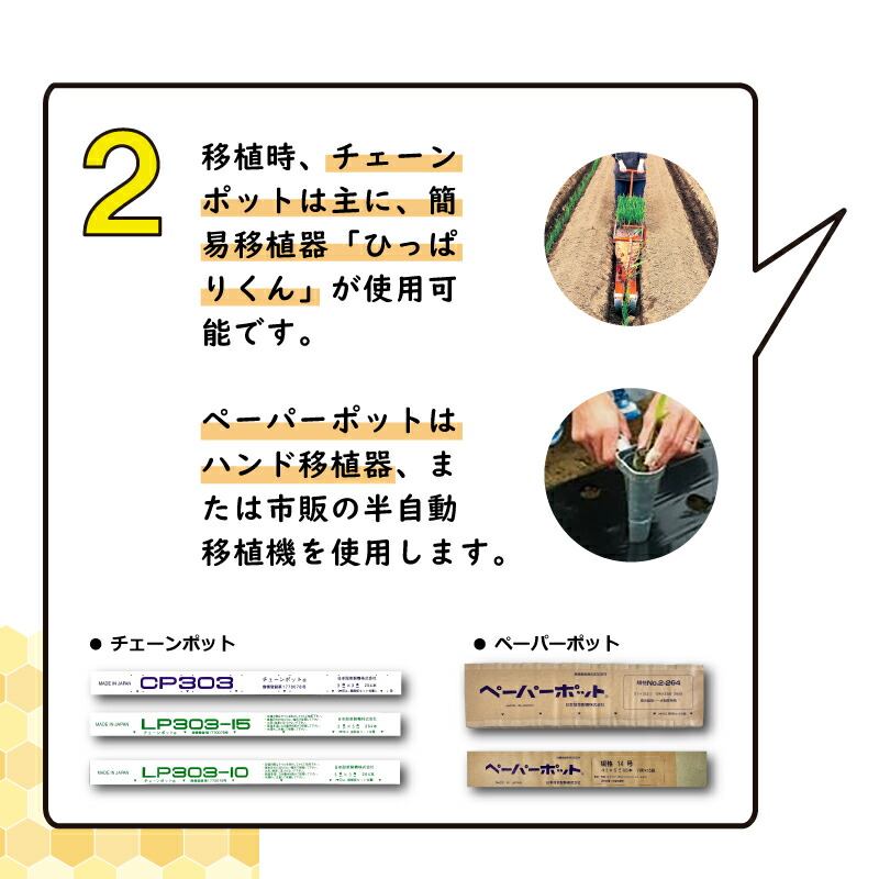 楽天市場】【100%ポイントバック エントリー＆抽選2/25まで】チェーン