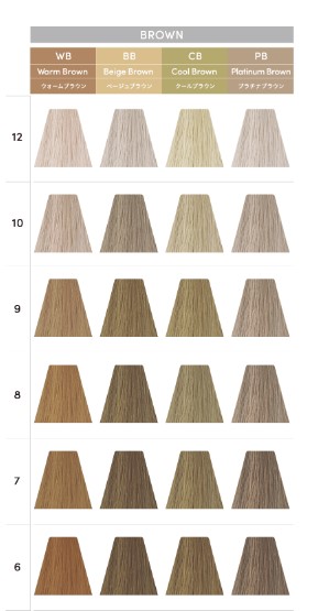 楽天市場】デミコスメティクス トイロクション ブラウンライン