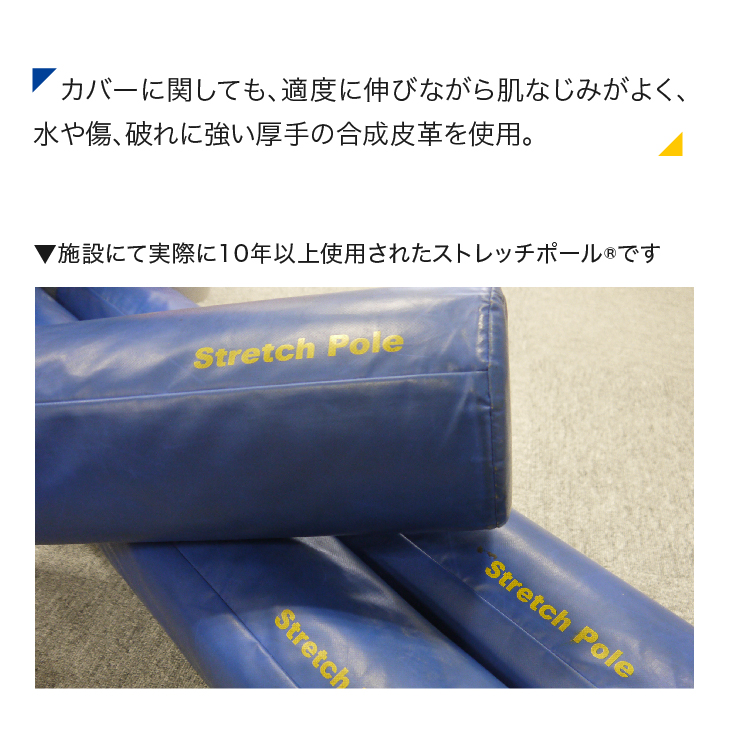 楽天市場】LPN ストレッチポールEX(ネイビー) スタートBOOK