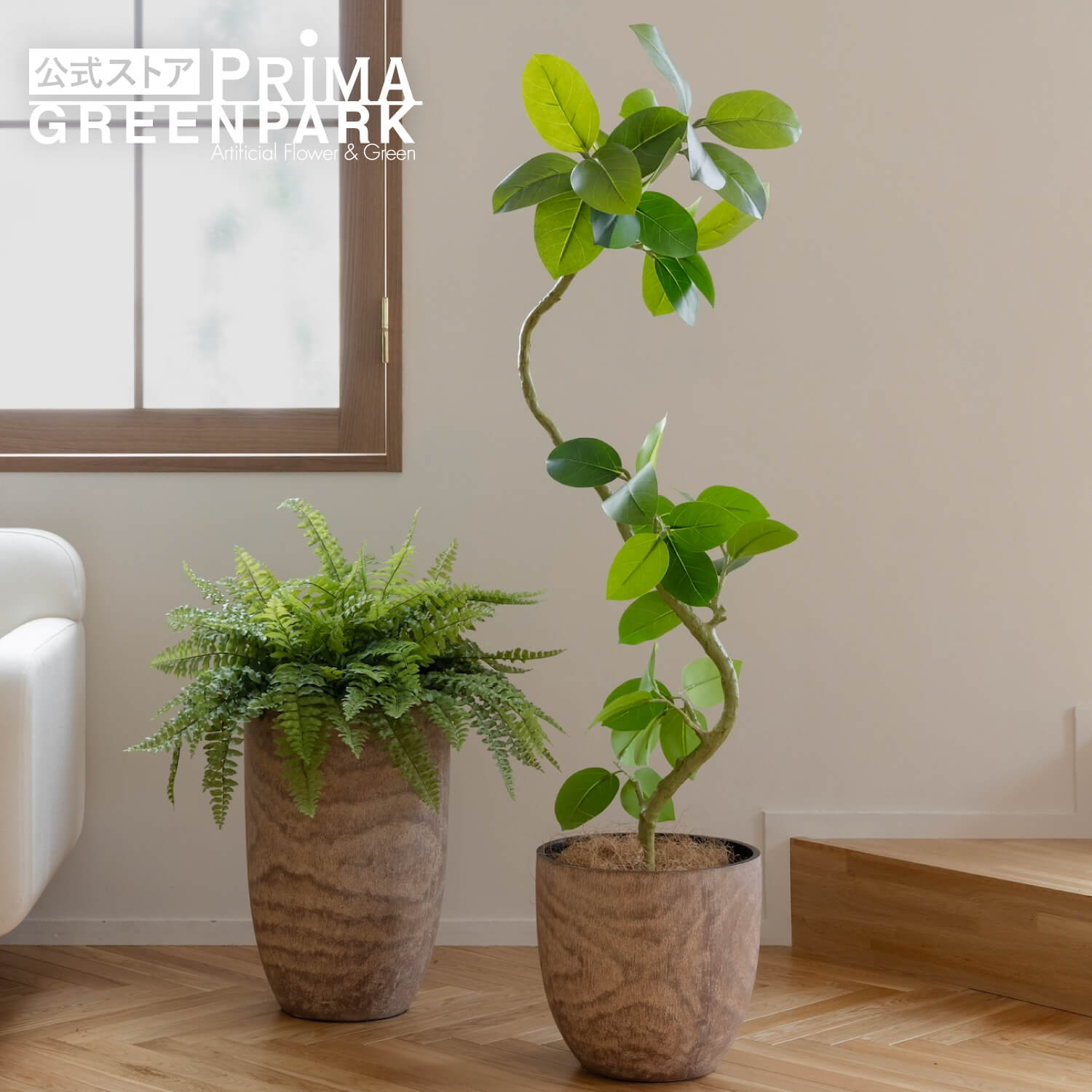 楽天市場】【公式】フィカスアルテシマ ウッドポット H138cm 観葉植物