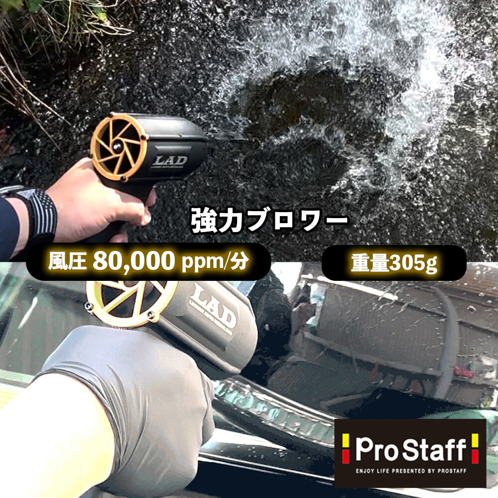 楽天市場】プロスタッフ LAD 超強力ブロワー (ハンド 洗車 ブロワー