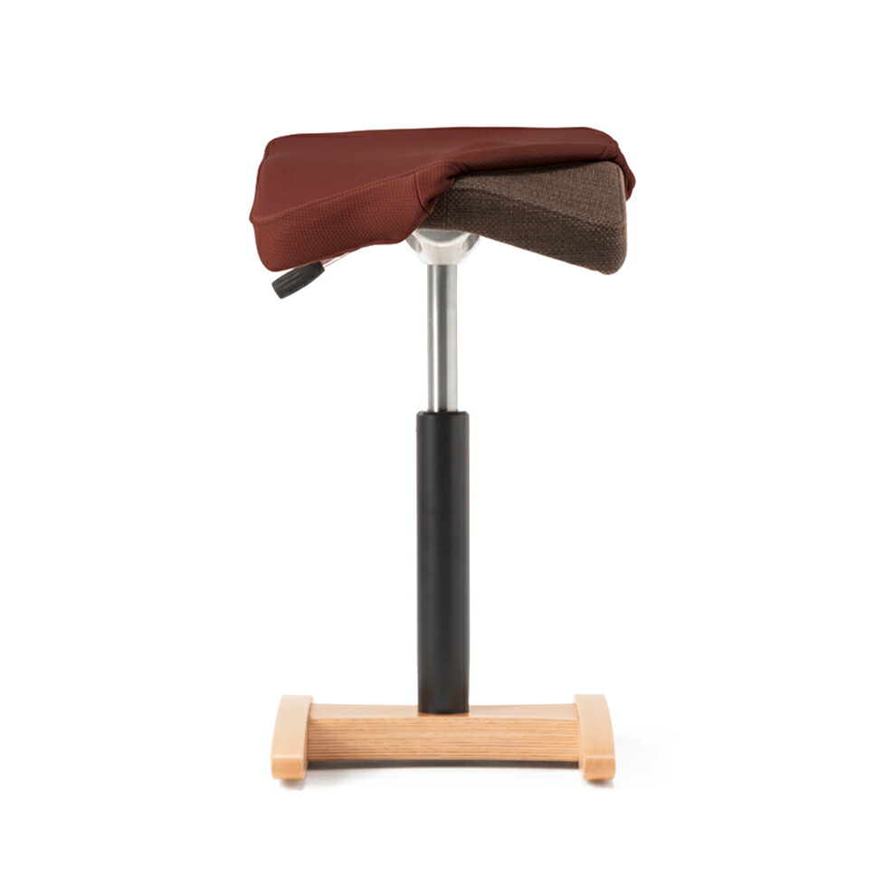 楽天市場】バランスシナジーを一生使って頂きたいから作りました