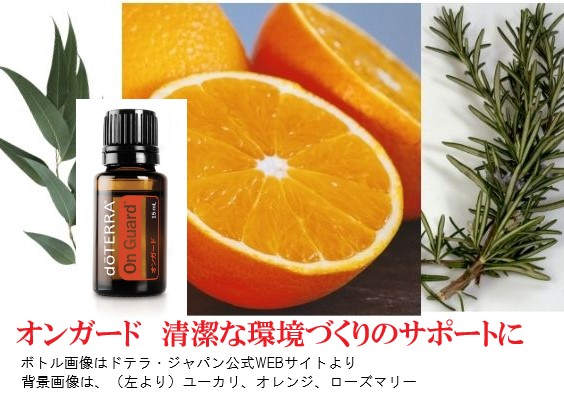 楽天市場】ドテラ オンガード フォーミングハンドウォッシュ （ハンド