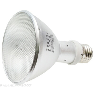 楽天市場】スドー ソラーレ uv70の通販