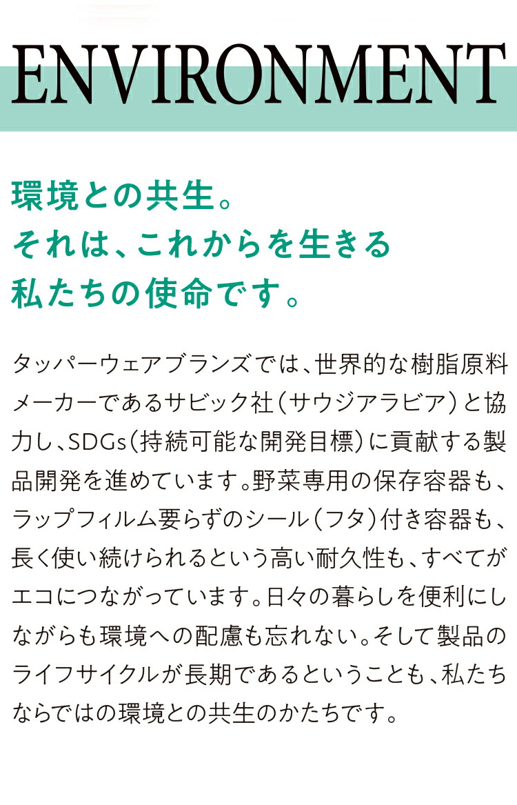 楽天市場】タッパーウェア マキシクイーンデコレーター 密封 密封 保存