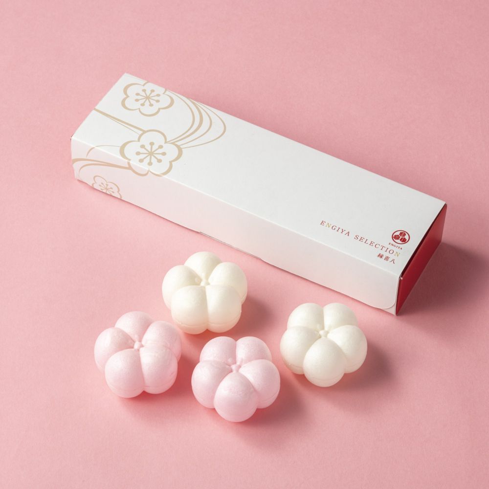 楽天市場】ナリス化粧品 正規品 メガビューティコットンN2 容量