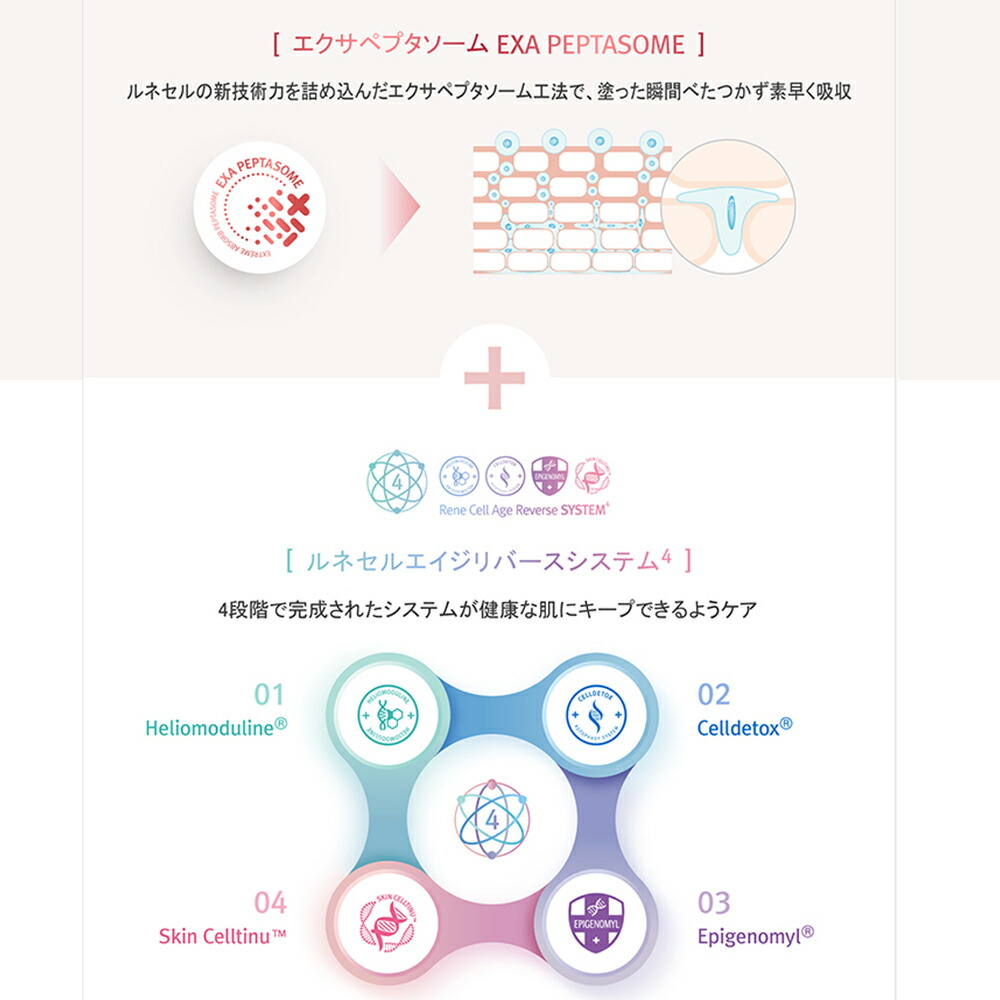 楽天市場】【Rene-Cell】ルネセル 119クリーム 70ml×3EA | [ルネセル