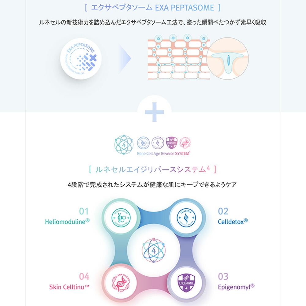 楽天市場】【Rene-Cell】アブソーバー ペプチドクリーム 50ml