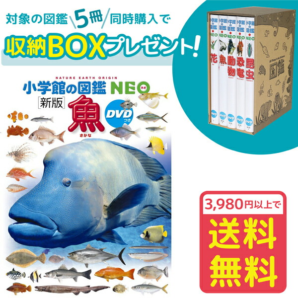 楽天市場】【収納BOX付・送料無料・条件有】小学館の図鑑NEO［新版］魚