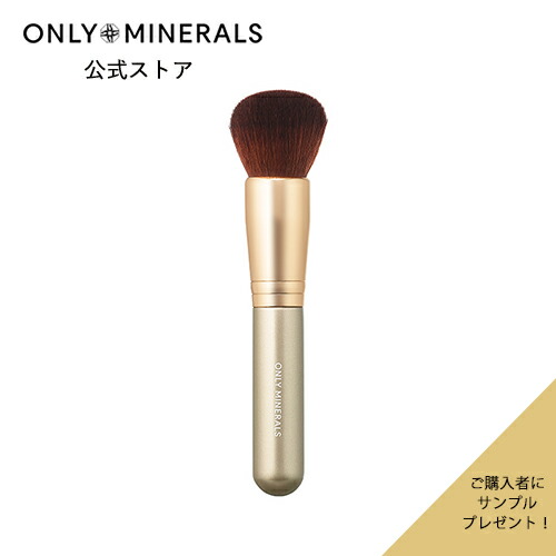 楽天市場】【P10倍☆3/4 20:00から3/11 1:59まで】ブラシ