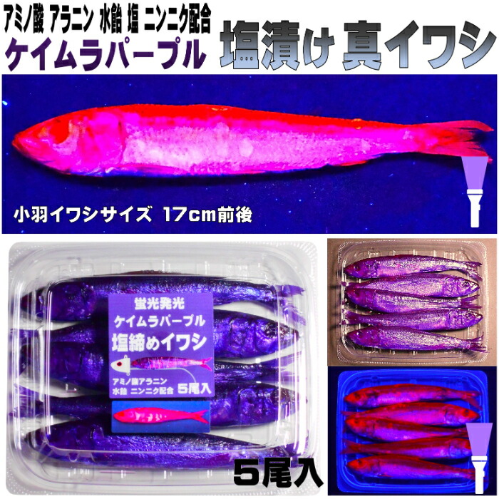楽天市場】テンヤタチウオ 餌 テンヤ太刀魚 仕掛け 激臭にんにく