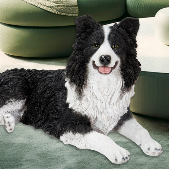 楽天市場】うつぶせ ボーダーコリー 75 x 43 x 36 cm (幅x奥x高)本物