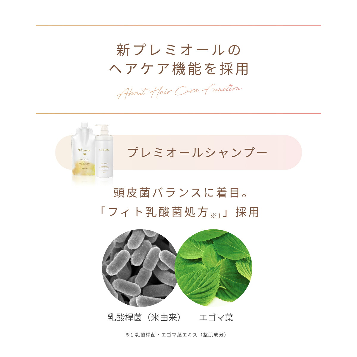 楽天市場】ラサーナ プレミオール ホワイトティーの香り 2点セット