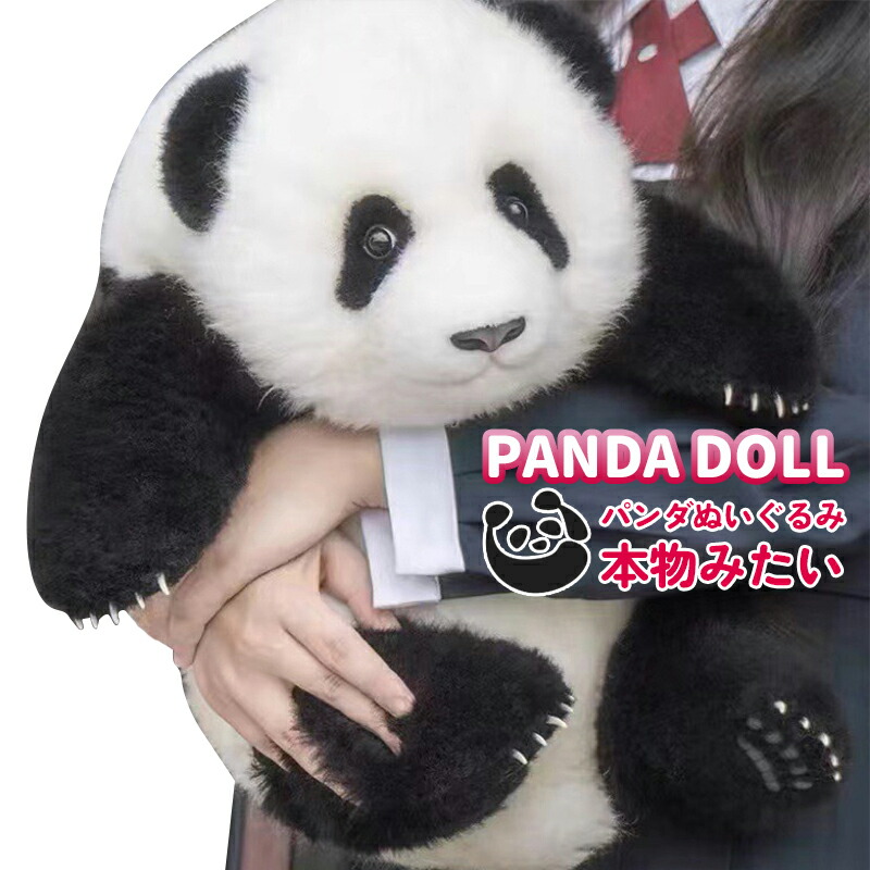 楽天市場】パンダぬいぐるみ 花花 萌蘭 年齢5か月 可愛いパンダ パンダ