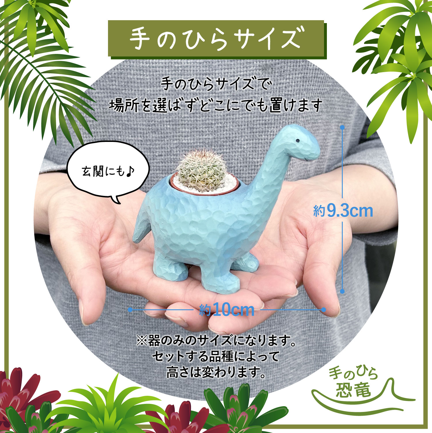 楽天市場】当日発送17時〆 多肉植物 サボテン 鉢植え 多肉