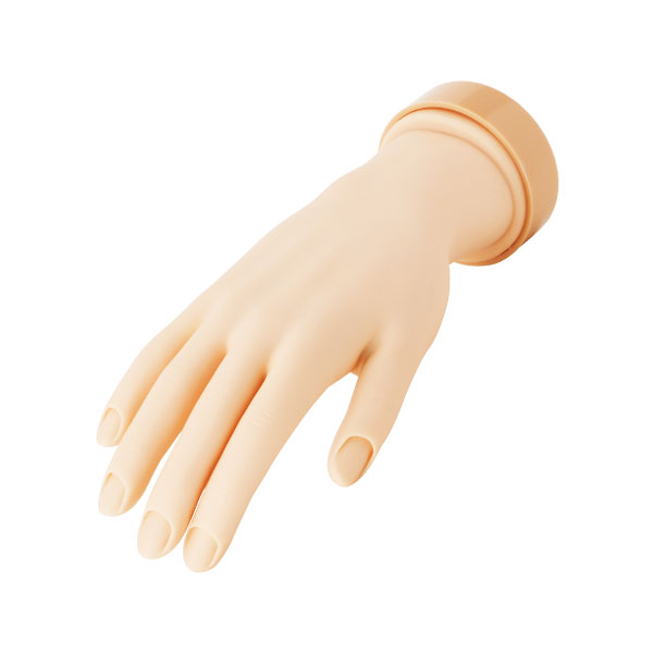 楽天市場】ネイル ハンド 練習 トレーニングハンド 右手 練習用 手 指