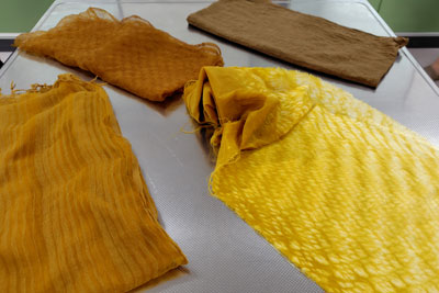 2025年8月10日(日)初心者向け草木染め体験ワークショップ開催報告