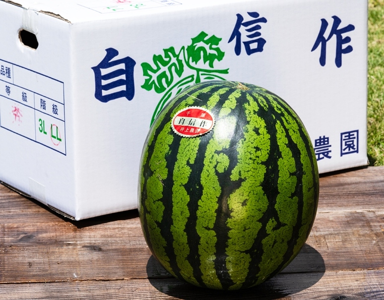 井上農園「自信作スイカ（羅皇ザ・スウィート）」千葉県産 2〜4L 1玉