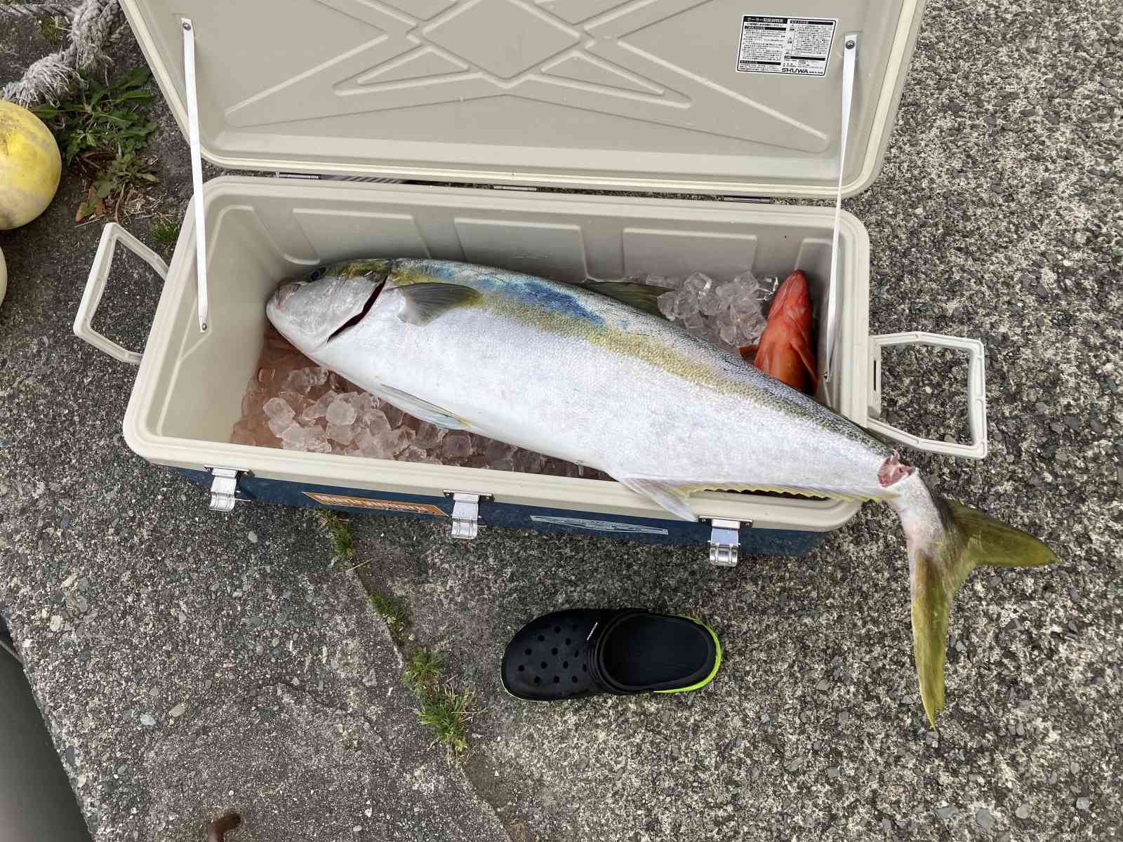 21 ツインパワー SW 8000HGのスペックとインプレ | 釣りクラウド